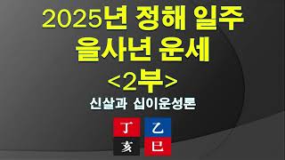 2025년 정해 일주 을사년 운세 2부