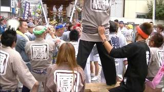 川崎市民祭り ドッコイ神輿