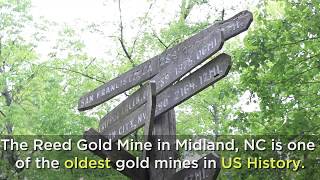 Historic Site Spotlight: Reed Gold Mine