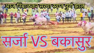 सर्जा 8500 Vs बकासुर 6300cc आणि बकासुर ची गटाला हार || #bailgadasharyat #bakasur #mathur1001