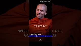 Set Backs & Challenges Are a Natural Part of Life #buddhisminenglish #buddharashmi #motivational