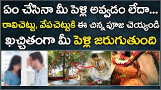 రావిచెట్టుని పూజిస్తే పెళ్లి అవుతుందా..| Raavi Chettu Pooja | Marriage Remedies in Telugu [2021]