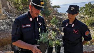 Isola di Montecristo, viaggio tra i segreti del tesoro inviolabile