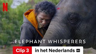 The Elephant Whisperers (Clip 3 ondertiteld) | Trailer in het Nederlands | Netflix