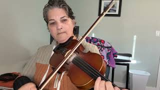 Day 335 - Baldy’s Reel - Patti Kusturok’s 366 Days of Fiddle Tunes