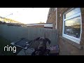 Clever Dog Uses Doorbell, Asks To Be Let In | RingTV