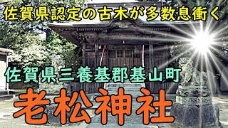 【神社巡り】佐賀県三養基郡基山町　老松神社　パワースポット【佐賀県認定の古木が多数息衝く】パワースポット