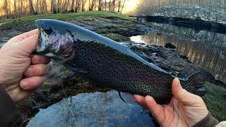 TROUT FISHING THE LITTLE RED RIVER.  Heber Springs Arkansas