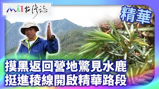 摸黑返回營地驚見水鹿 挺進稜線開啟精華路段｜臺東縣海端鄉 麥覺明【 @ctvmit 889集】