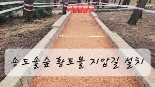 송도솔숲 황토볼 지압길 개장#맨발걷기좋은도시포항#맨발학교포항지회#황토볼지압길