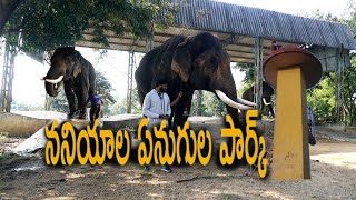 #Naniyala Elephant Camp#Eco tourisme Centre Naniyala