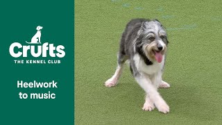Freestyle International Heelwork to Music Competition - Part 1 | Crufts 2022