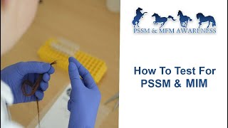 How To Test For PSSM \u0026 MIM