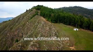 Idyllic meadow and forest above cliff: Manjhani Thatch and Rohru aerial view from Himachal Pradesh