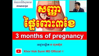 សញ្ញា ផ្ទៃពោះ៣ខែ/3 months of pregnancy l Khor Hok Sunn MD Official