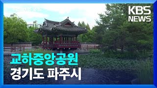 [뉴스광장 영상] 교하중앙공원 / KBS  2023.07.14.