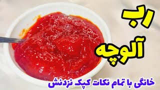 کامل ترین دستور تهیه رب آلوچه خانگی با تمام نکات /Homemade plum paste tutorial /آموزش آشپزی ایرانی