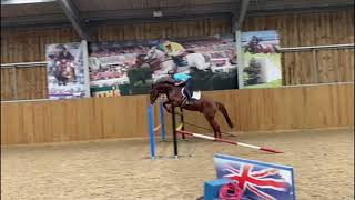 Nalaika ~ 3yo stallion jumping under saddle