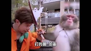 Funny搞笑－盘点动物的缺德行为　Unethical behaviors of animals