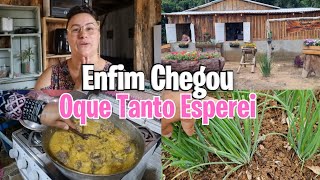 ENFIM CHEGOU OQUE TANTO ESPEREI||ESTOU MUITO FELIZ