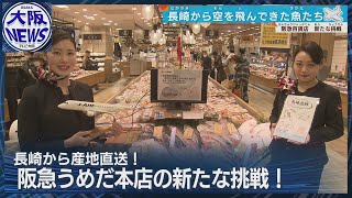 【空飛ぶ魚】長崎→伊丹空港 新鮮な魚をお届け！阪急うめだ本店