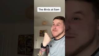 The birds at 5am 😂😂