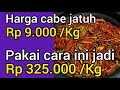 Tips bisnis cabe modal kecil untung besar