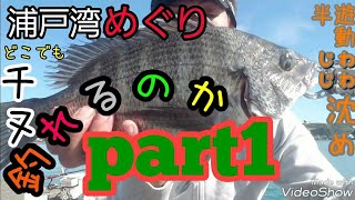 【高知ふかせ釣り】高知浦戸湾めぐり　チヌ(黒鯛)ふかせ釣り　半遊動沈め釣り　浦戸湾はどこでもチヌ(黒鯛)が釣れるの？　トキワの堤防編