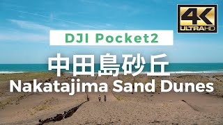 【4K】Nakatajima Sand Dunes - 中田島砂丘  Walking Video From Japan / VLOG / DJI Pocket 2