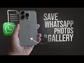 How to Save WhatsApp Document Photos in Gallery in iPhone (tutorial)