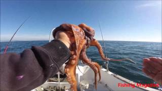 Fishing on board the various / Pesca Embarcada aos diversos