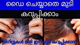 ഡൈ ചെയ്യാതെ പെട്ടെന്ന് മുടി കറുപ്പിക്കാം /hair dye / hair growth / hair touch up