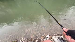 Kačenje mladice u divoti kanjona Ibra!#fishing #srbija#fish