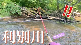 虹鱒の宝庫で渓流釣りをする北海道釣り女子の実力はこんなもんだin十勝.利別川【フライフィッシング】