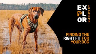 EXPLOR Ultimate Fit – Finding the right fit for your dog