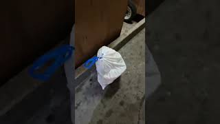 미국에서 쓰레기 버리기 쓰레기 창고 How to throw away trash in the US