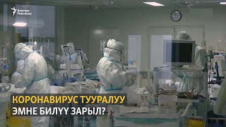 Коронавирустан сактануунун эрежелери