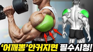 '여기'집중했더니 어깨뽕 확-커졌습니다!(후면어깨 추천루틴/운동방법)