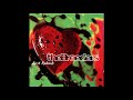 the breeders cannonball