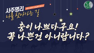 충도 아름답다ㅣ내 사주 내가 보기ㅣ별땅연구소