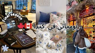 STUDY VLOG | يوميات مبتعثة في كندا 🧸🌸🍁