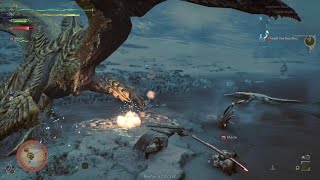 Monster Hunter Wilds Beta test_20241102155027