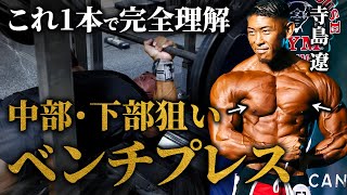 【これ1本で完全理解】大胸筋の中部･下部狙いの“ベンチプレス”を実演解説！【寺島遼】