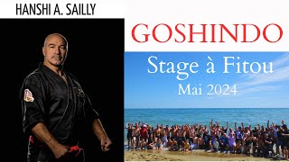 Stage de Goshindo avec Alain Sailly