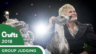 Best In Show Winner's Interview | Crufts 2018