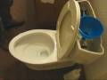 Improving Toilet Flush Performance Improving Toilet Flush Performance