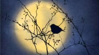 Leevi Madetoja Lintu sininen (Blue bird, from the Autumn Song Cycle)