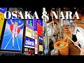 OSAKA & NARA | 2 Days Perfect Itinerary | Japan 2024 | Deer Park | Two Off To