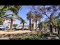 increíble plaza recreo en viña del mar 🌲🌴🌳