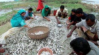 Fishing together in the village | fish in the most beautiful village in the world